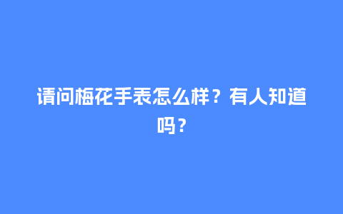 请问梅花手表怎么样？有人知道吗？_http://www.kushangpin.com_手表百科_第1张