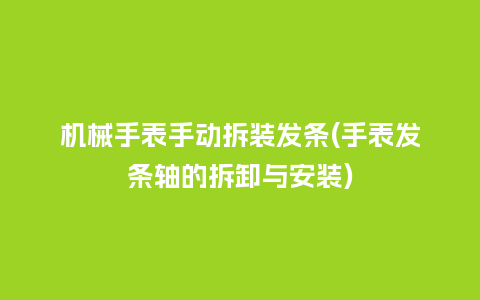 机械手表手动拆装发条(手表发条轴的拆卸与安装)_http://www.kushangpin.com_手表百科_第1张