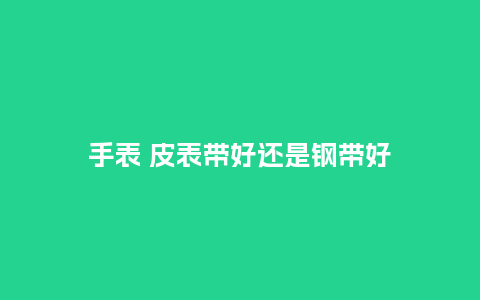 手表 皮表带好还是钢带好_http://www.kushangpin.com_手表百科_第1张
