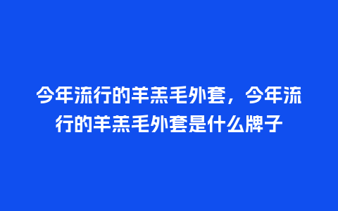 今年流行的羊羔毛外套，今年流行的羊羔毛外套是什么牌子_http://www.kushangpin.com_服装百科_第1张