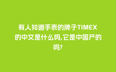 有人知道手表的牌子TIMEX的中文是什么吗,它是中国产的吗?_http://www.kushangpin.com_手表百科_第1张