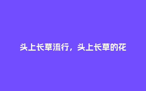 头上长草流行，头上长草的花_http://www.kushangpin.com_服装百科_第1张