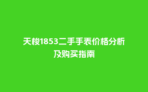 天梭1853二手手表价格分析及购买指南_http://www.kushangpin.com_手表百科_第1张