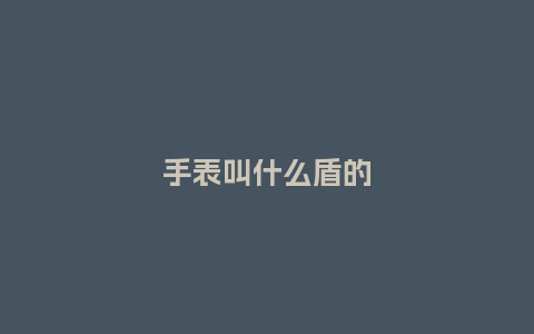 手表叫什么盾的_http://www.kushangpin.com_手表百科_第1张