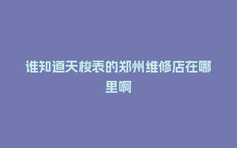 谁知道天梭表的郑州维修店在哪里啊_http://www.kushangpin.com_手表百科_第1张