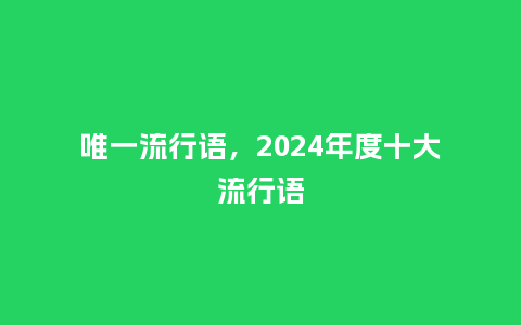 唯一流行语，2024年度十大流行语_http://www.kushangpin.com_服装百科_第1张