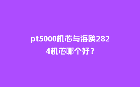 pt5000机芯与海鸥2824机芯哪个好？_http://www.kushangpin.com_手表百科_第1张