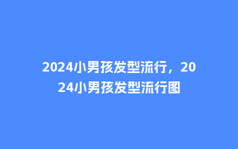 2024小男孩发型流行,2024小男孩发型流行图_服装百科_第1张_酷尚品 2024小男孩发型流行,2024小男孩发型流行图_http://www.kushangpin.com_服装百科_第1张