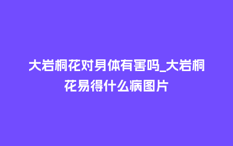 大岩桐花对身体有害吗_大岩桐花易得什么病图片_鲜花知识_第1张_酷尚品 大岩桐花对身体有害吗_大岩桐花易得什么病图片_https://www.kushangpin.com_鲜花知识_第1张