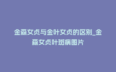 金森女贞与金叶女贞的区别_金森女贞叶斑病图片_鲜花知识_第1张_酷尚品 金森女贞与金叶女贞的区别_金森女贞叶斑病图片_https://www.kushangpin.com_鲜花知识_第1张