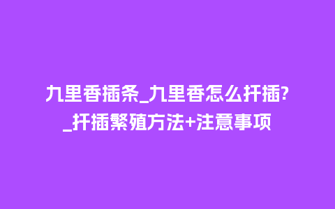 九里香插条_九里香怎么扦插?_扦插繁殖方法+注意事项_鲜花知识_第1张_酷尚品 九里香插条_九里香怎么扦插?_扦插繁殖方法+注意事项_https://www.kushangpin.com_鲜花知识_第1张