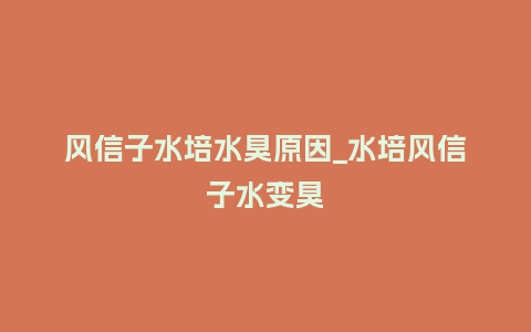 风信子水培水臭原因_水培风信子水变臭_鲜花知识_第1张_酷尚品 风信子水培水臭原因_水培风信子水变臭_http://www.kushangpin.com_鲜花知识_第1张
