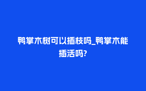 鸭掌木树可以插枝吗_鸭掌木能插活吗?_鲜花知识_第1张_酷尚品 鸭掌木树可以插枝吗_鸭掌木能插活吗?_http://www.kushangpin.com_鲜花知识_第1张