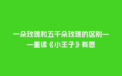 一朵玫瑰和五千朵玫瑰的区别——重读《小王子》有感_https://www.kushangpin.com_送礼知识_第1张