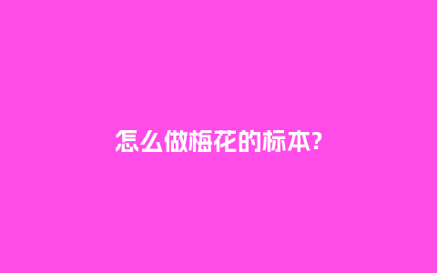 怎么做梅花的标本?_http://www.kushangpin.com_鲜花知识_第1张
