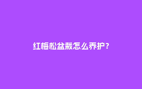 红梅松盆栽怎么养护?_鲜花知识_第1张_酷尚品 红梅松盆栽怎么养护?_https://www.kushangpin.com_鲜花知识_第1张