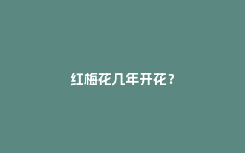 红梅花几年开花?_鲜花知识_第1张_酷尚品 红梅花几年开花?_http://www.kushangpin.com_鲜花知识_第1张