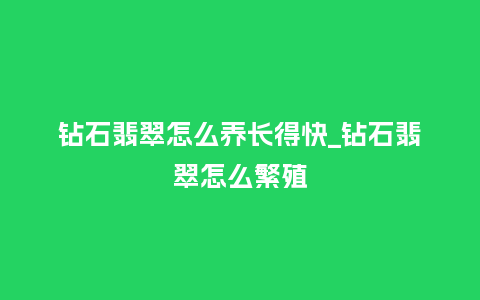 钻石翡翠怎么养长得快_钻石翡翠怎么繁殖_鲜花知识_第1张_酷尚品 钻石翡翠怎么养长得快_钻石翡翠怎么繁殖_http://www.kushangpin.com_鲜花知识_第1张