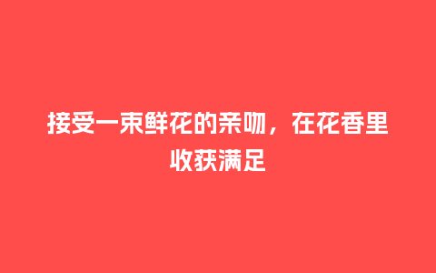 接受一束鲜花的亲吻，在花香里收获满足_https://www.kushangpin.com_送礼知识_第1张
