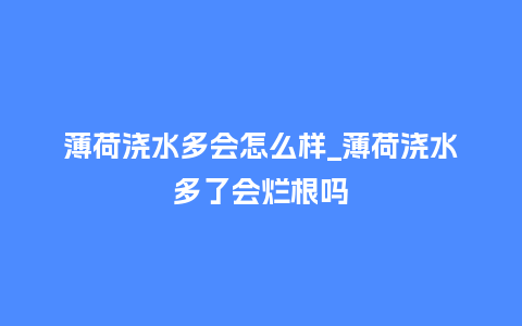 薄荷浇水多会怎么样_薄荷浇水多了会烂根吗_https://www.kushangpin.com_鲜花知识_第1张