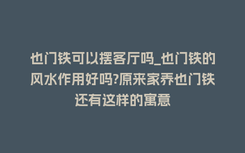 也门铁可以摆客厅吗_也门铁的风水作用好吗?原来家养也门铁还有这样的寓意_鲜花知识_第1张_酷尚品 也门铁可以摆客厅吗_也门铁的风水作用好吗?原来家养也门铁还有这样的寓意_http://www.kushangpin.com_鲜花知识_第1张