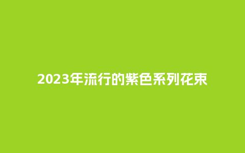 2023年流行的紫色系列花束_https://www.kushangpin.com_送礼知识_第1张