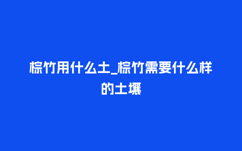 棕竹用什么土_棕竹需要什么样的土壤_http://www.kushangpin.com_鲜花知识_第1张