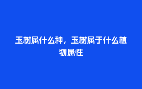 玉树属什么种,玉树属于什么植物属性_鲜花知识_第1张_酷尚品 玉树属什么种,玉树属于什么植物属性_https://www.kushangpin.com_鲜花知识_第1张