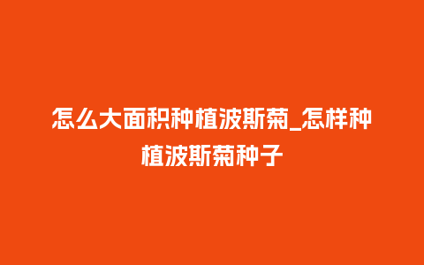 怎么大面积种植波斯菊_怎样种植波斯菊种子_鲜花知识_第1张_酷尚品 怎么大面积种植波斯菊_怎样种植波斯菊种子_https://www.kushangpin.com_鲜花知识_第1张