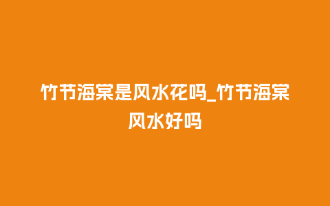 竹节海棠是风水花吗_竹节海棠风水好吗_鲜花知识_第1张_酷尚品 竹节海棠是风水花吗_竹节海棠风水好吗_http://www.kushangpin.com_鲜花知识_第1张