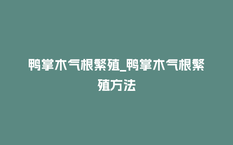 鸭掌木气根繁殖_鸭掌木气根繁殖方法_鲜花知识_第1张_酷尚品 鸭掌木气根繁殖_鸭掌木气根繁殖方法_http://www.kushangpin.com_鲜花知识_第1张