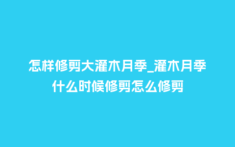 怎样修剪大灌木月季_灌木月季什么时候修剪怎么修剪_鲜花知识_第1张_酷尚品 怎样修剪大灌木月季_灌木月季什么时候修剪怎么修剪_http://www.kushangpin.com_鲜花知识_第1张