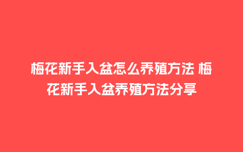 梅花新手入盆怎么养殖方法 梅花新手入盆养殖方法分享_鲜花知识_第1张_酷尚品 梅花新手入盆怎么养殖方法 梅花新手入盆养殖方法分享_https://www.kushangpin.com_鲜花知识_第1张