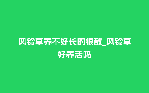 风铃草养不好长的很散_风铃草好养活吗_鲜花知识_第1张_酷尚品 风铃草养不好长的很散_风铃草好养活吗_https://www.kushangpin.com_鲜花知识_第1张