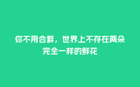 你不用合群，世界上不存在两朵完全一样的鲜花_https://www.kushangpin.com_送礼知识_第1张