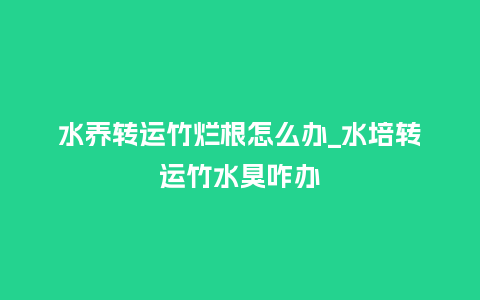 水养转运竹烂根怎么办_水培转运竹水臭咋办_鲜花知识_第1张_酷尚品 水养转运竹烂根怎么办_水培转运竹水臭咋办_http://www.kushangpin.com_鲜花知识_第1张