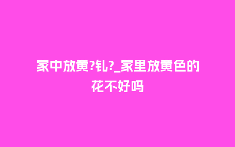 家中放黄?钆?_家里放黄色的花不好吗_鲜花知识_第1张_酷尚品 家中放黄?钆?_家里放黄色的花不好吗_http://www.kushangpin.com_鲜花知识_第1张
