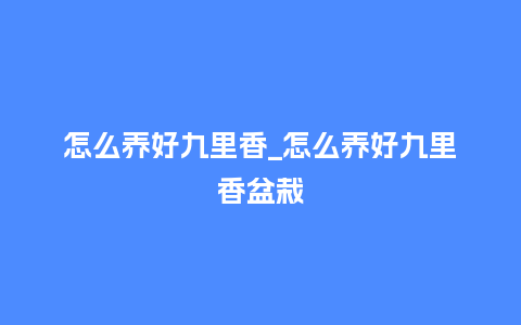 怎么养好九里香_怎么养好九里香盆栽_鲜花知识_第1张_酷尚品 怎么养好九里香_怎么养好九里香盆栽_https://www.kushangpin.com_鲜花知识_第1张