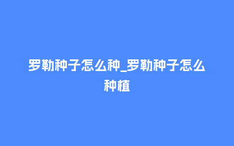 罗勒种子怎么种_罗勒种子怎么种植_鲜花知识_第1张_酷尚品 罗勒种子怎么种_罗勒种子怎么种植_https://www.kushangpin.com_鲜花知识_第1张