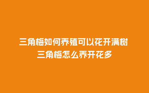 三角梅如何养殖可以花开满树 三角梅怎么养开花多_http://www.kushangpin.com_鲜花知识_第1张