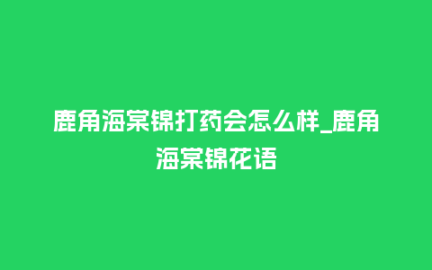 鹿角海棠锦打药会怎么样_鹿角海棠锦花语_鲜花知识_第1张_酷尚品 鹿角海棠锦打药会怎么样_鹿角海棠锦花语_http://www.kushangpin.com_鲜花知识_第1张