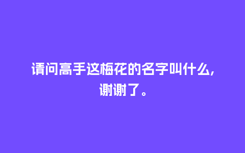 请问高手这梅花的名字叫什么,谢谢了。_鲜花知识_第1张_酷尚品 请问高手这梅花的名字叫什么,谢谢了。_https://www.kushangpin.com_鲜花知识_第1张