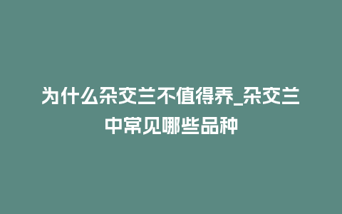 为什么杂交兰不值得养_杂交兰中常见哪些品种_鲜花知识_第1张_酷尚品 为什么杂交兰不值得养_杂交兰中常见哪些品种_http://www.kushangpin.com_鲜花知识_第1张