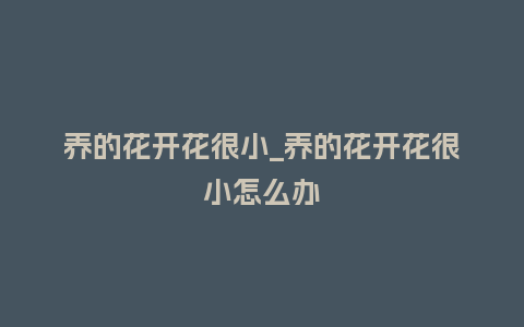 养的花开花很小_养的花开花很小怎么办_鲜花知识_第1张_酷尚品 养的花开花很小_养的花开花很小怎么办_https://www.kushangpin.com_鲜花知识_第1张