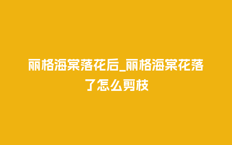 丽格海棠落花后_丽格海棠花落了怎么剪枝_鲜花知识_第1张_酷尚品 丽格海棠落花后_丽格海棠花落了怎么剪枝_https://www.kushangpin.com_鲜花知识_第1张