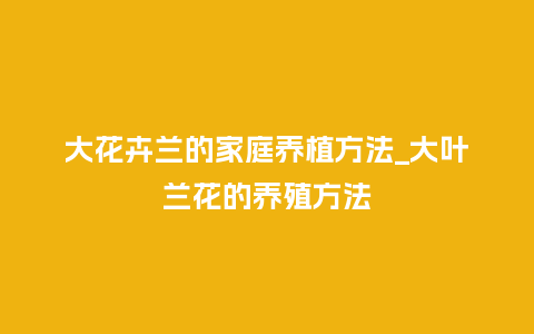 大花卉兰的家庭养植方法_大叶兰花的养殖方法_鲜花知识_第1张_酷尚品 大花卉兰的家庭养植方法_大叶兰花的养殖方法_http://www.kushangpin.com_鲜花知识_第1张