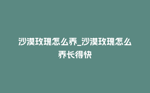 沙漠玫瑰怎么养_沙漠玫瑰怎么养长得快_鲜花知识_第1张_酷尚品 沙漠玫瑰怎么养_沙漠玫瑰怎么养长得快_http://www.kushangpin.com_鲜花知识_第1张