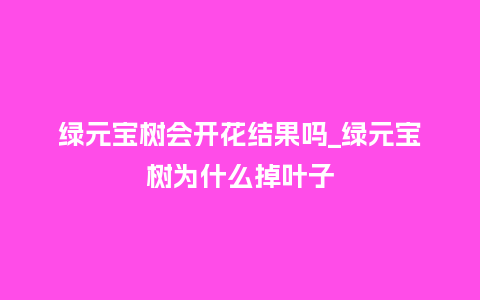 绿元宝树会开花结果吗_绿元宝树为什么掉叶子_鲜花知识_第1张_酷尚品 绿元宝树会开花结果吗_绿元宝树为什么掉叶子_http://www.kushangpin.com_鲜花知识_第1张