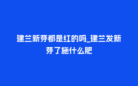 建兰新芽都是红的吗_建兰发新芽了施什么肥_鲜花知识_第1张_酷尚品 建兰新芽都是红的吗_建兰发新芽了施什么肥_http://www.kushangpin.com_鲜花知识_第1张