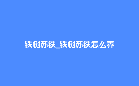 铁树苏铁_铁树苏铁怎么养_http://www.kushangpin.com_鲜花知识_第1张